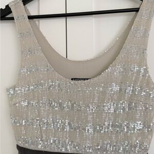 Express Silver Sequin Crop Top